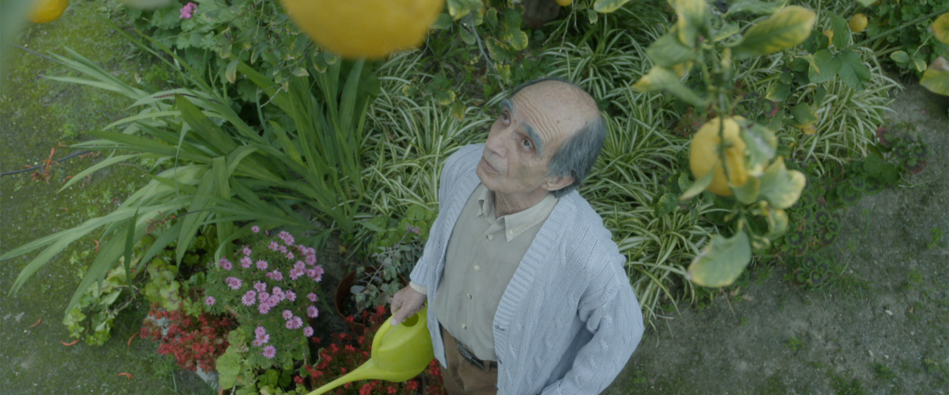 senior citizen 2