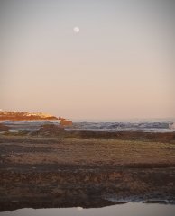 IMG_20200625_145025.jpg